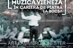 Concert muzica vieneza
